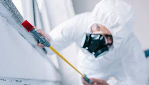 Emergency Pest Control Services in Bullard, TX